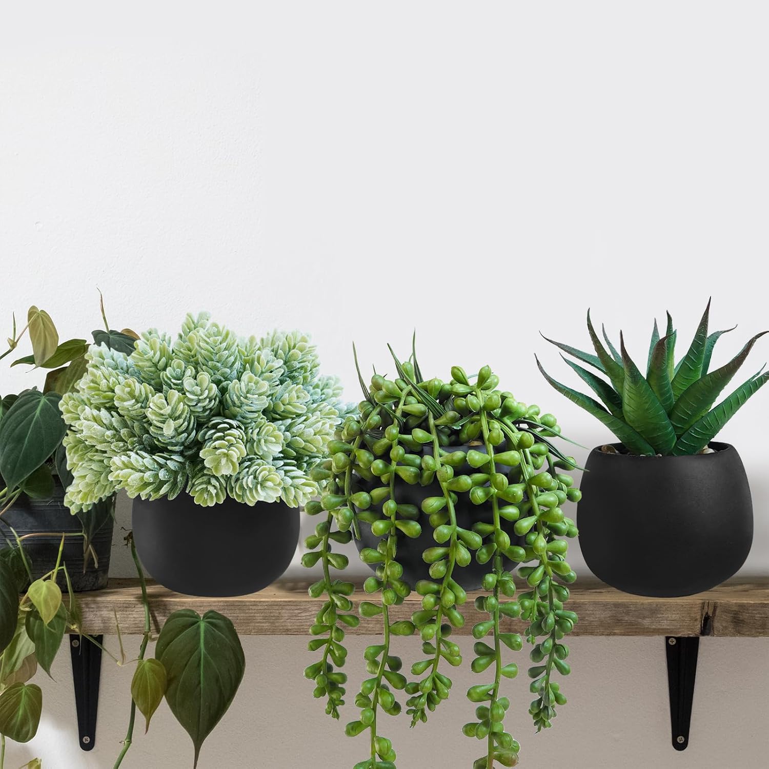 Winlyn Set of 3 Artificial Succulent Plants in Black Concrete Pots