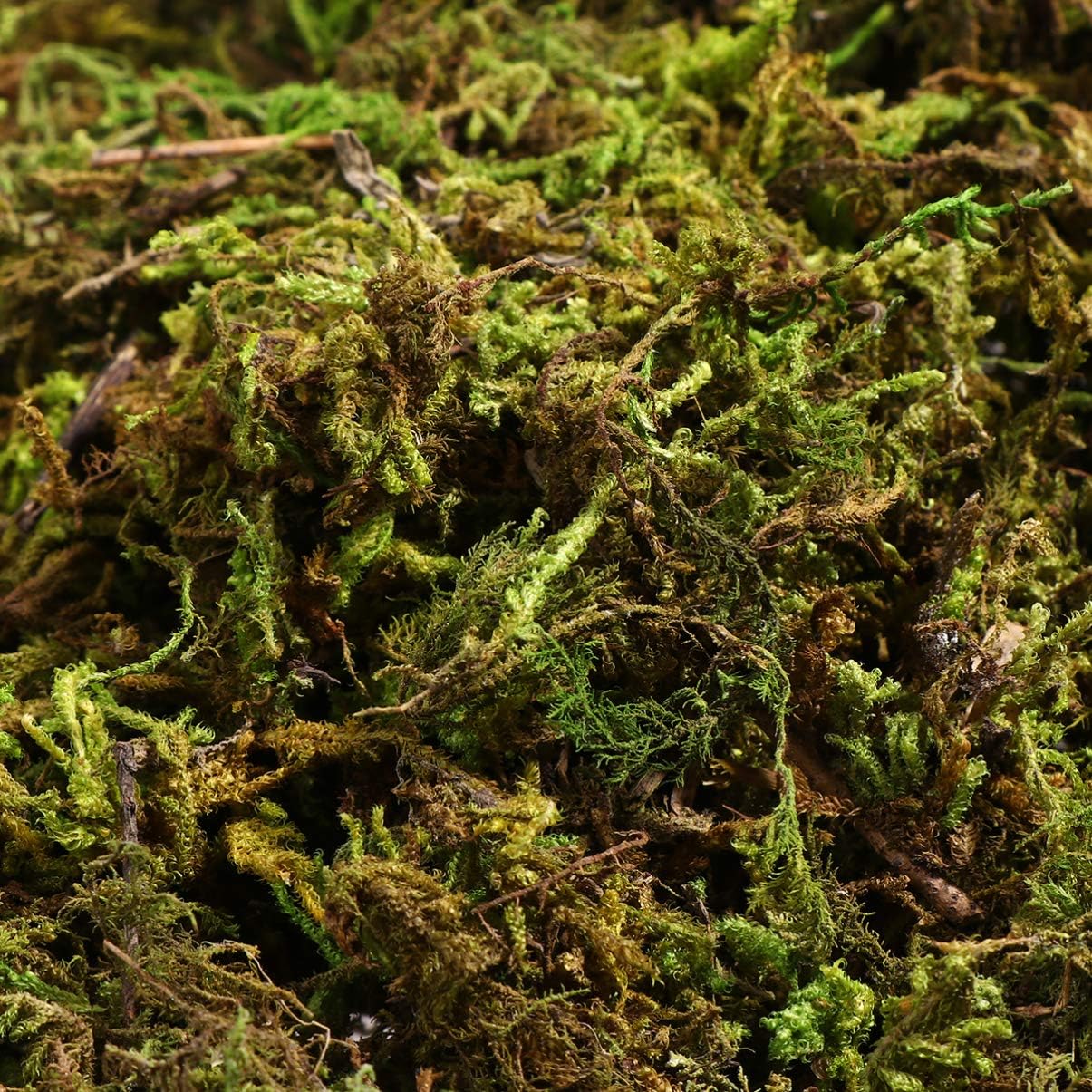 VOSAREA Artificial Moss for DIY Forest Crafts