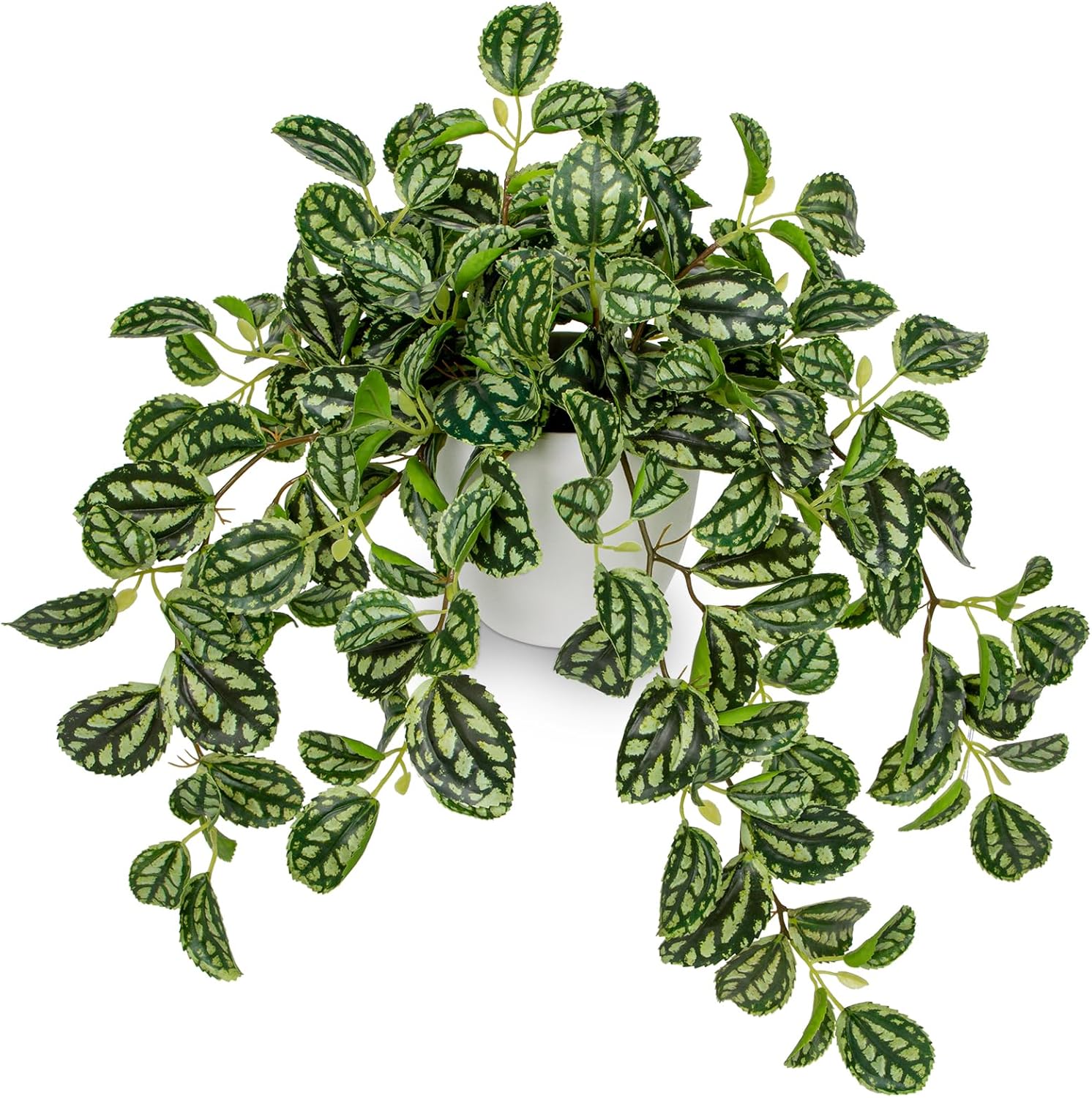 Briful Faux Watermelon Peperomia Artificial Plant for Home Office