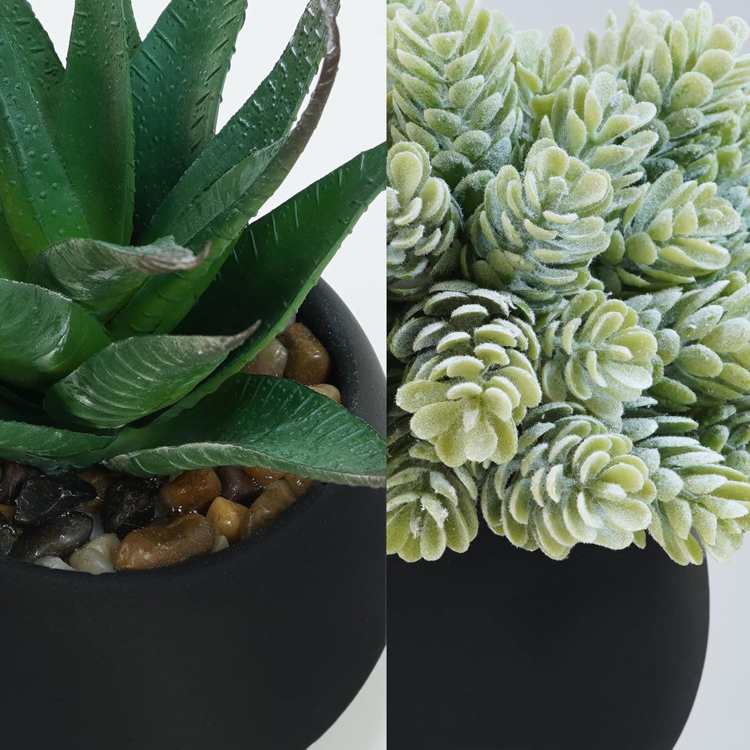 Winlyn Set of 3 Artificial Succulent Plants in Black Concrete Pots
