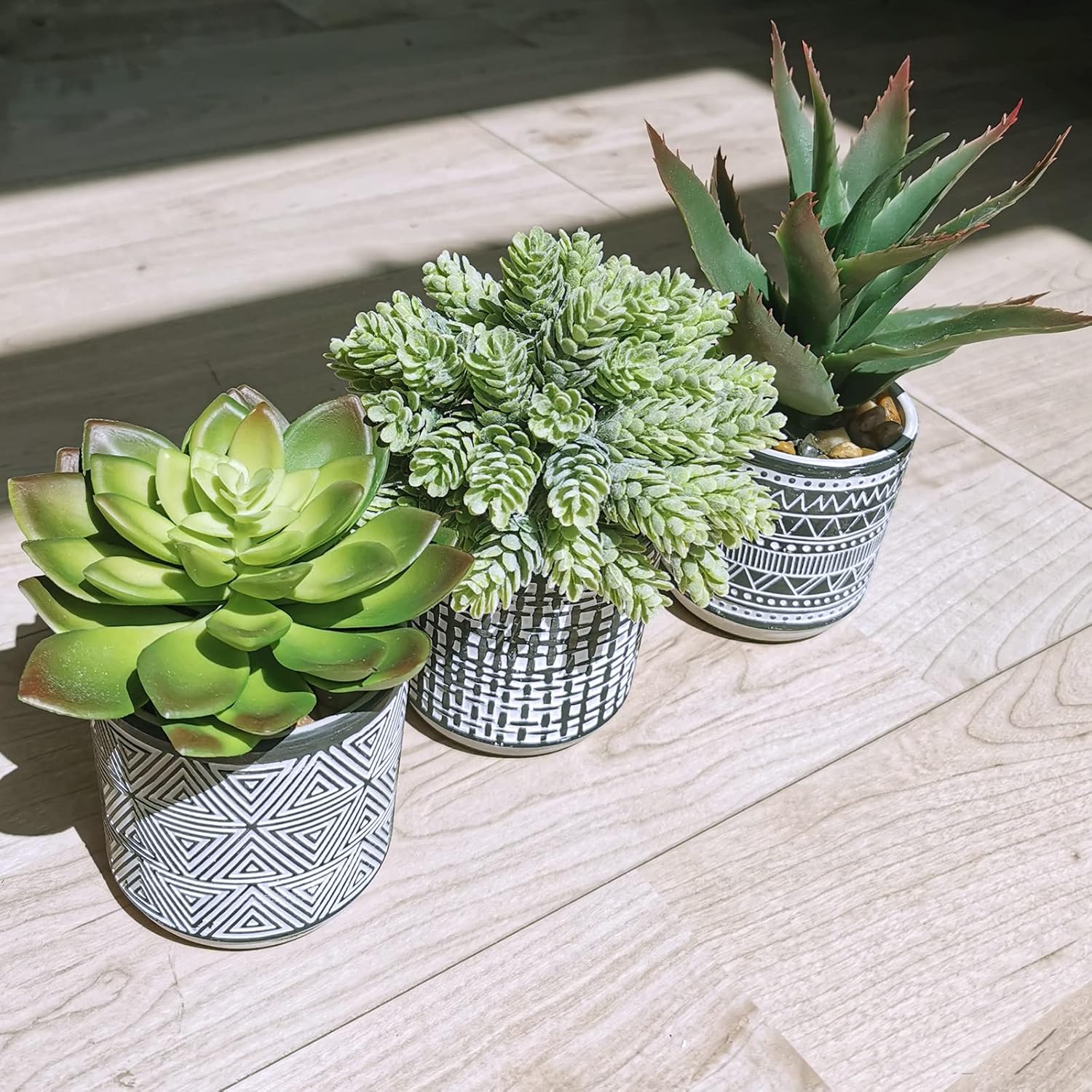 Winlyn Set of 3 Assorted Artificial Succulent Plants