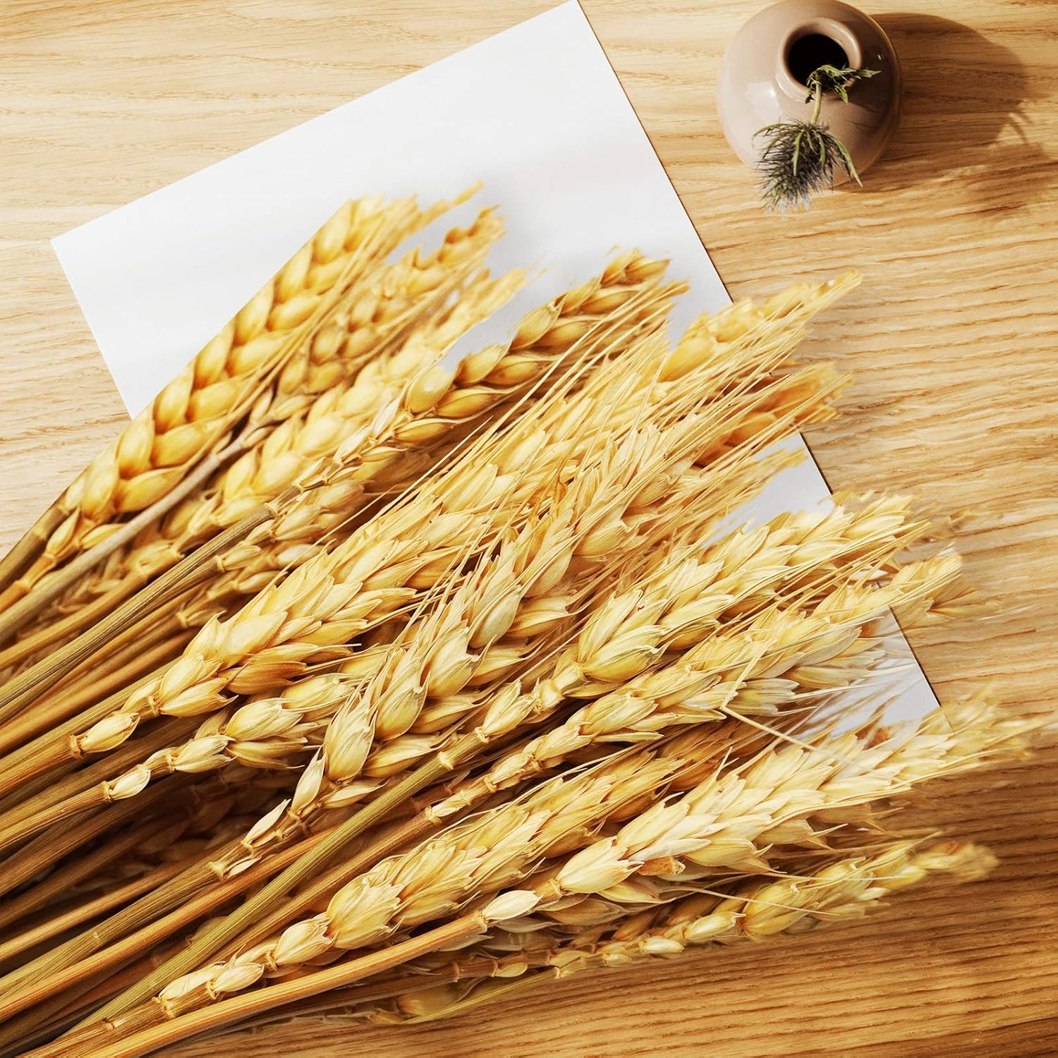 Uieke 177 Inch Dried Wheat Stalks for Home Decor