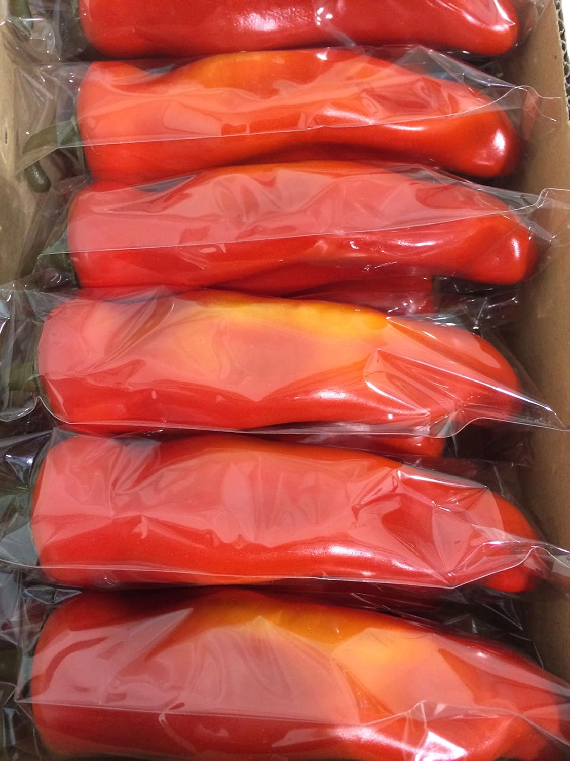 Realistic Red Chili Pepper Artificial Vegetable