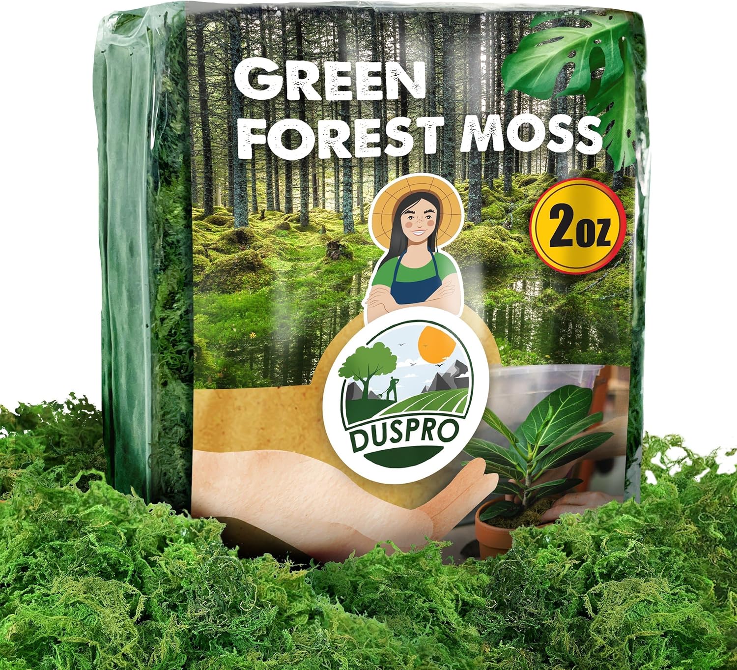 Duspro Upgraded Green Moss for Crafts and Decor